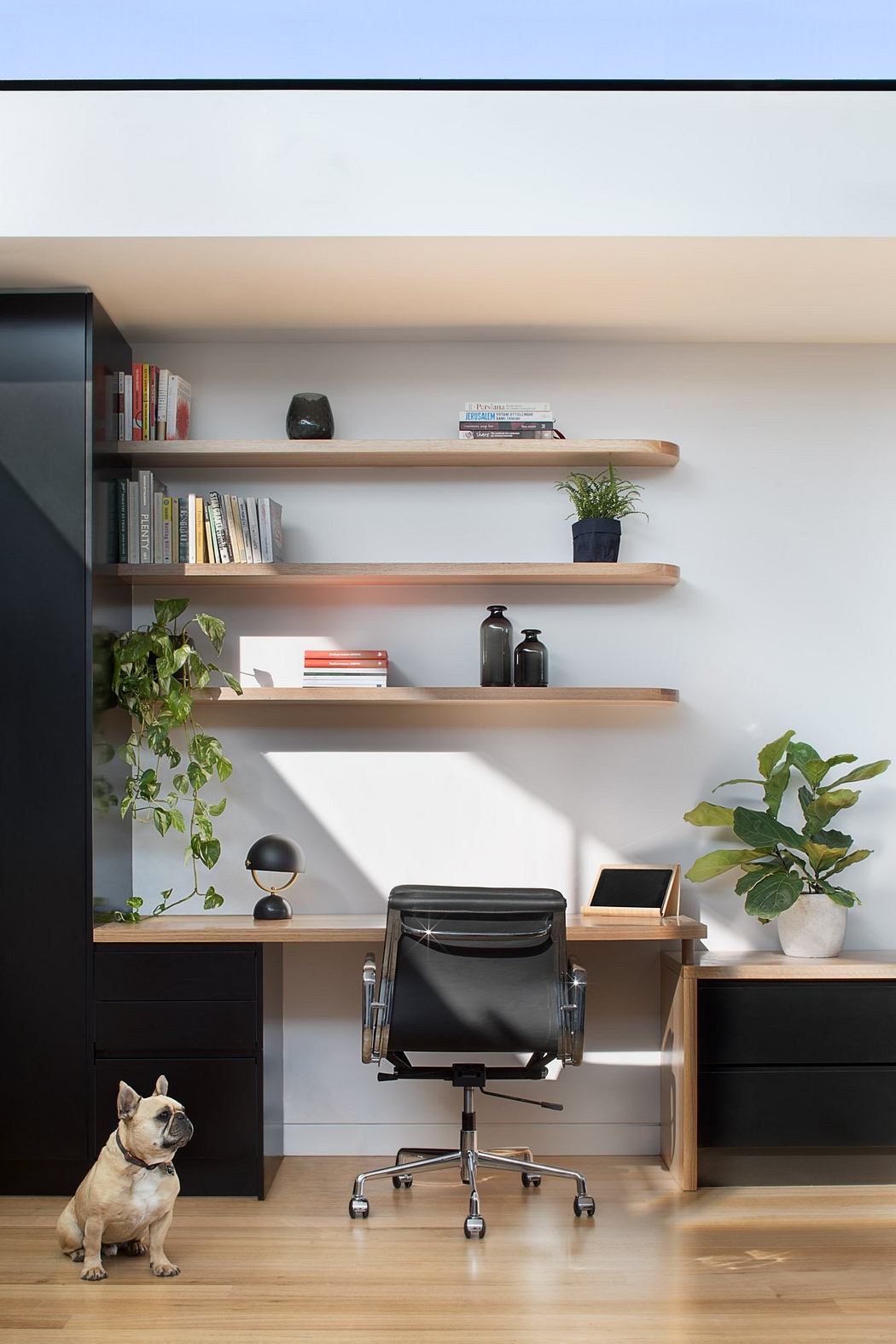 Minimalist home office with wooden shelves, plants, and a swivel chair.