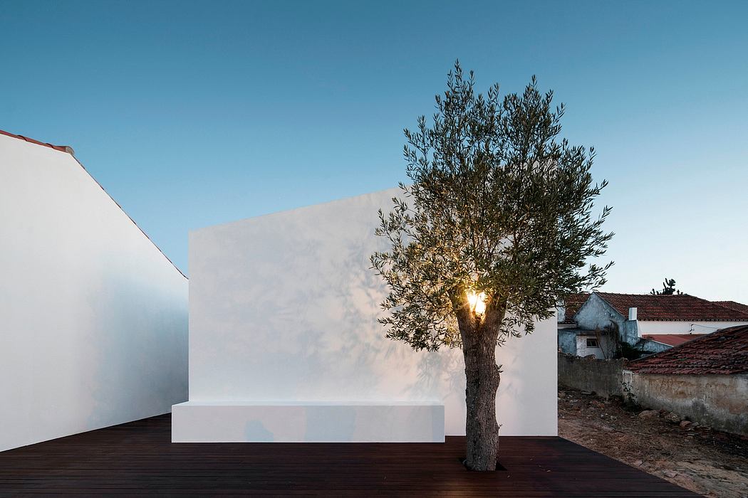 Minimalist architecture with an illuminated olive tree in the foreground against a clear sky.