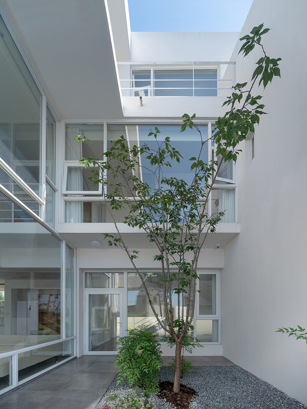 Bright, minimalist interior with central tree and glass walls overlooking sky.