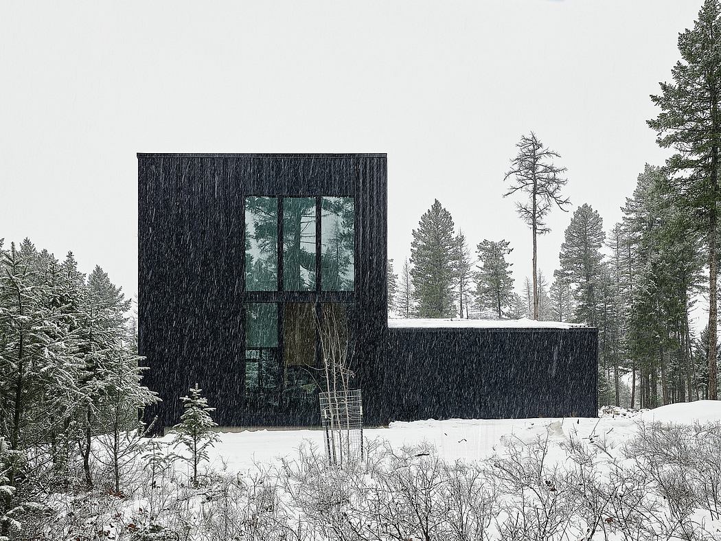 A stark black structure with large windows nestled in a snowy forest landscape.