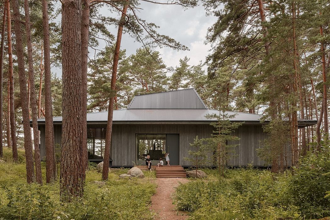 A modern, wooden cabin nestled in a lush pine forest, with a covered porch and steps leading to the entrance.