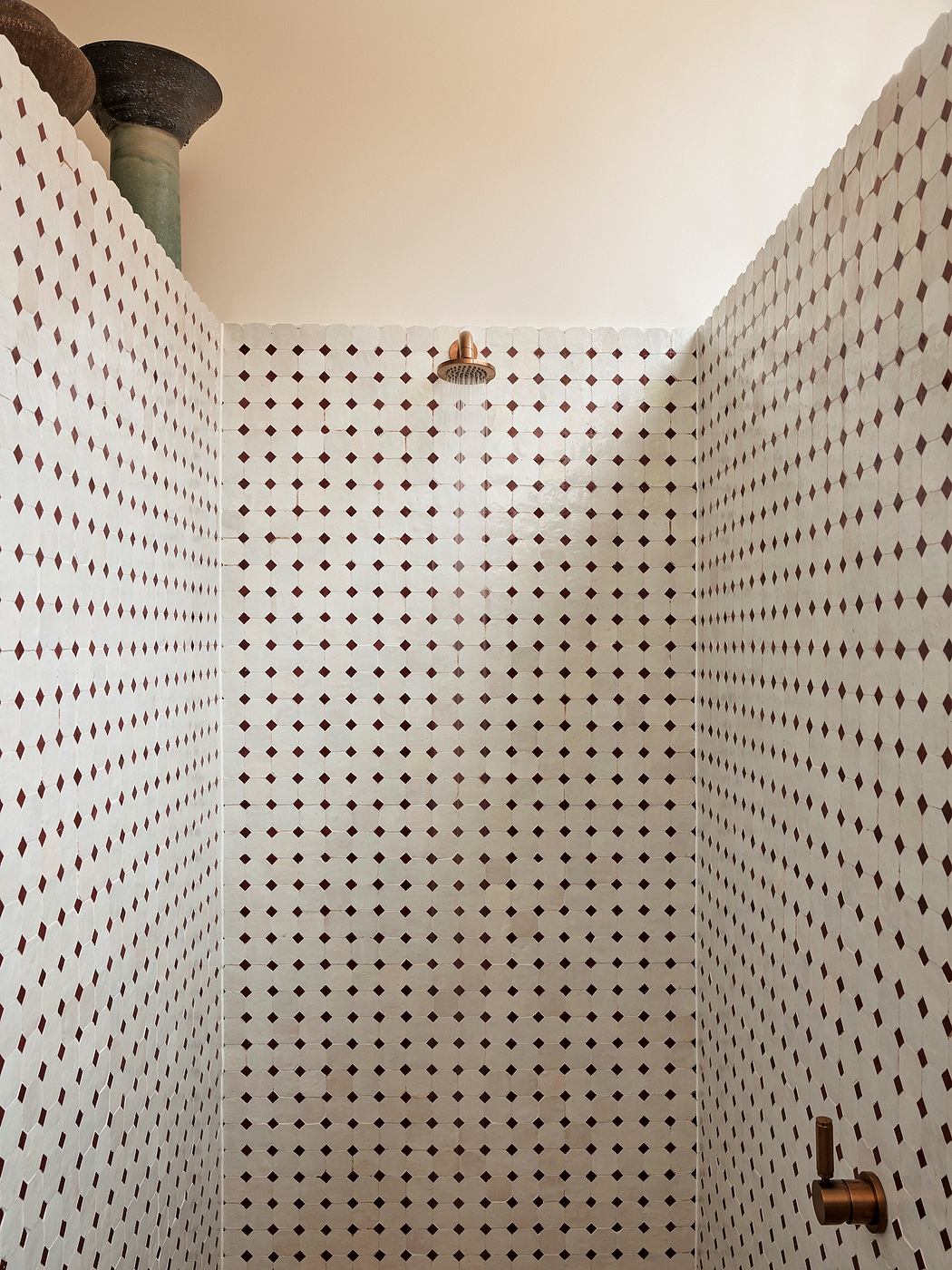 Ornate diamond-patterned tiles cover the walls of this minimalist shower enclosure.