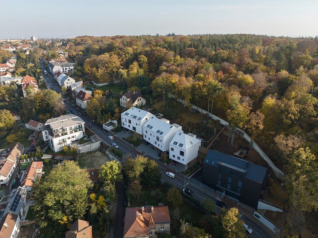 Aerial view of a residential neighborhood with varied architectural styles and autumn foliage.