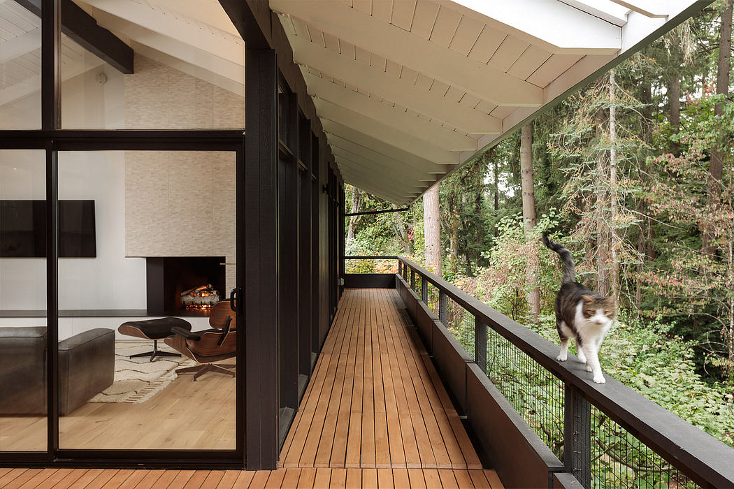 A modern wooden cabin with a suspended walkway overlooking a lush forest.