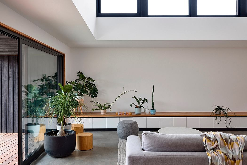 Modern and minimalist living space with large windows, wooden accents, and lush potted plants.