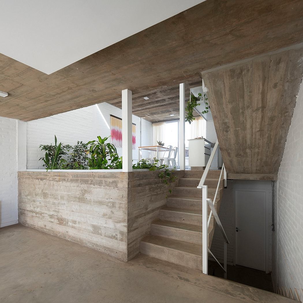 Rustic concrete stairs and walls with potted plants, minimalist design elements.