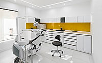 006-bashardoust-dental-office-by-ronak-roshan-office.jpg