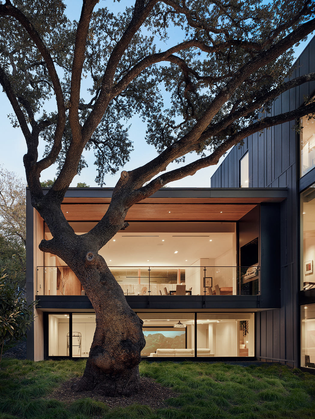 A modern home with a large tree growing through the structure, featuring a wooden exterior and glass walls.