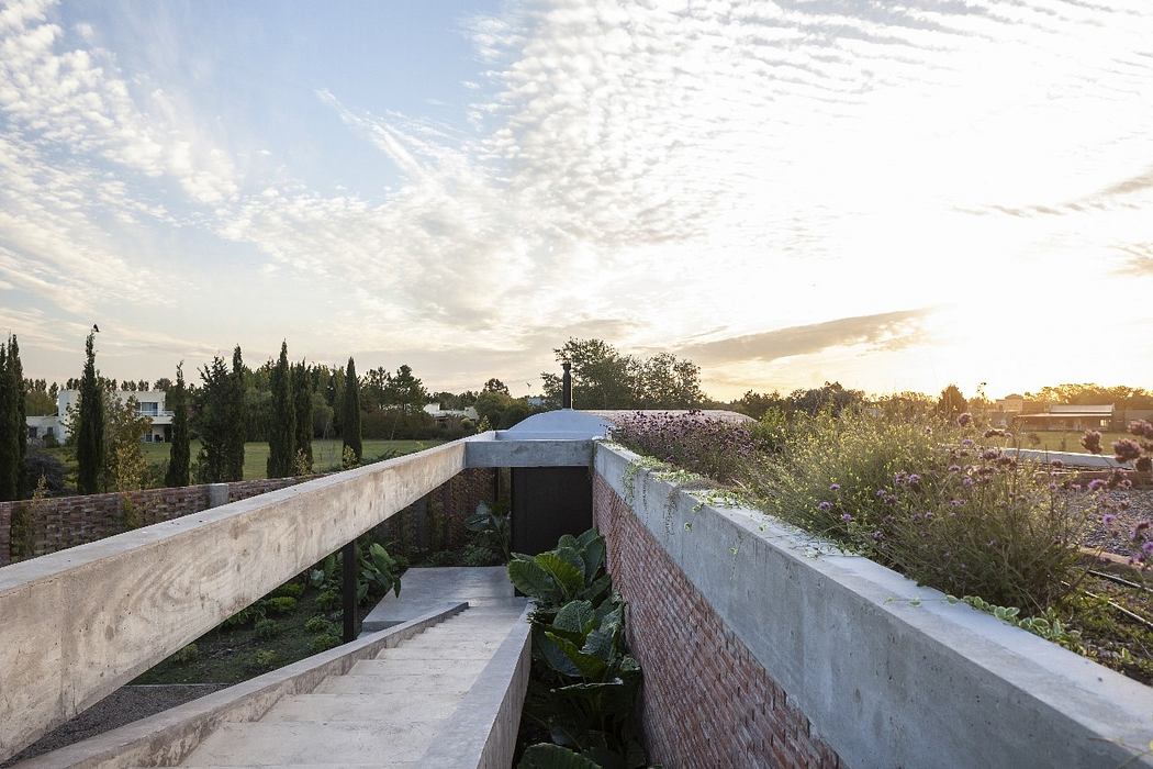 A contemporary architectural landscape with a raised concrete path and lush greenery.