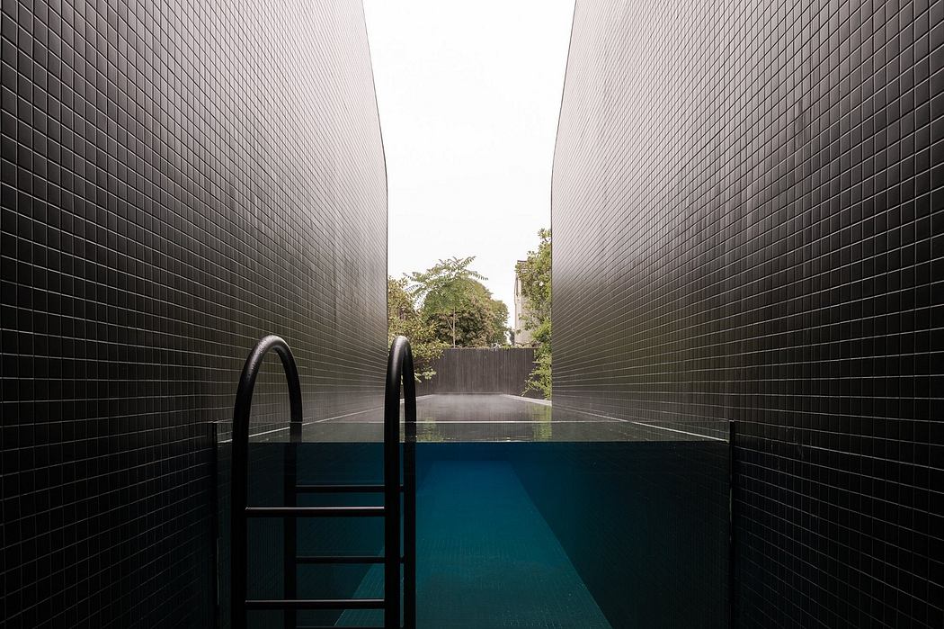 Modern architectural pool with black tiled walls, ladder, and lush greenery visible in the distance.