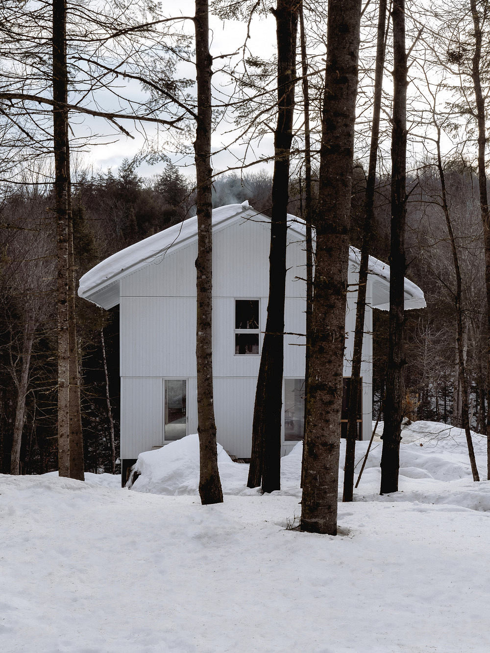 A modern, snow-covered cabin nestled among tall trees in a wintry forest.