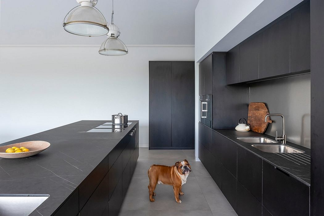Sleek, modern kitchen with black cabinetry, pendant lights, and a dog.