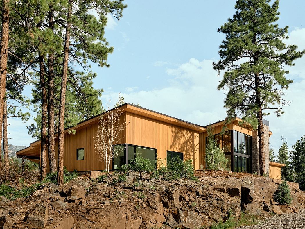 A modern, wooden cabin nestled in a pine forest, with large windows and a stone foundation.
