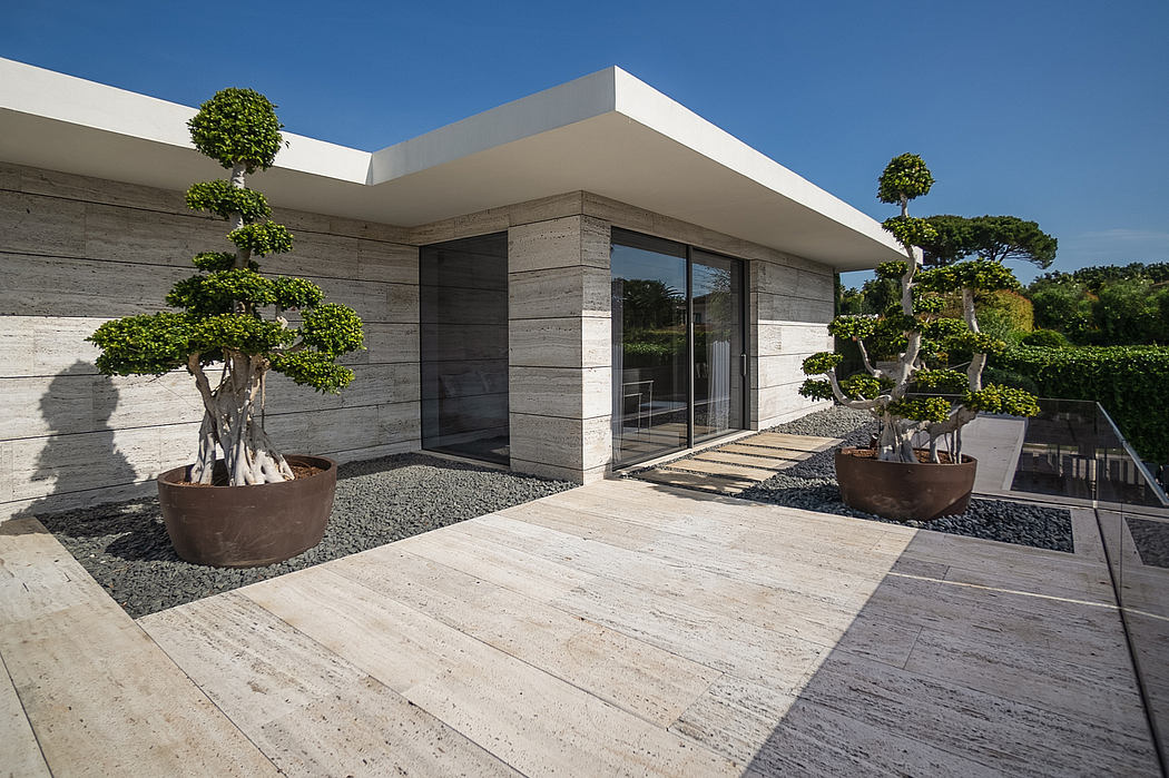 A modern, minimalist home exterior features an elegant concrete facade, glass doors, and strategically placed potted plants.