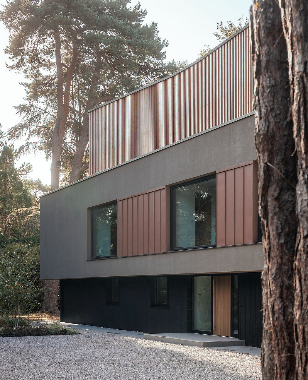 A modern, minimalist structure with a curved metal roof and expansive windows surrounded by tall pine trees.