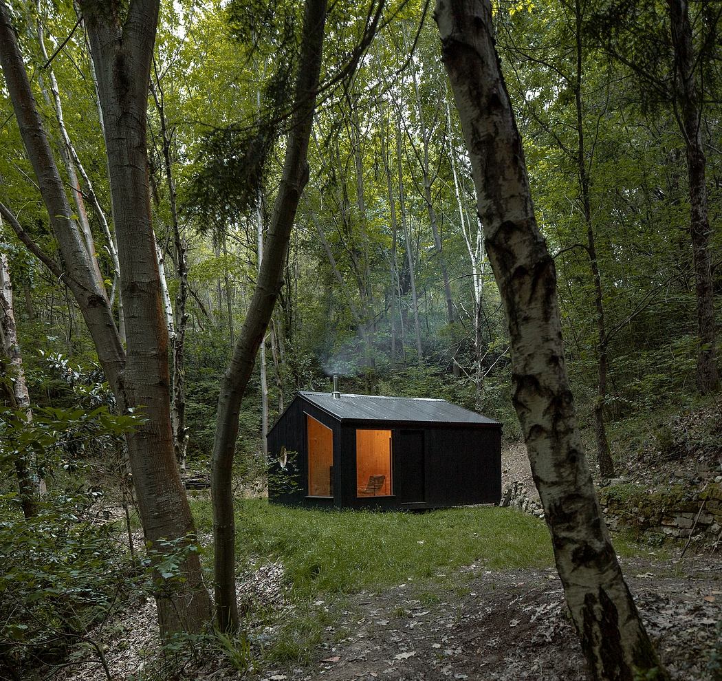 A small, dark wooden cabin nestled in a lush, green forest with birch trees surrounding it.