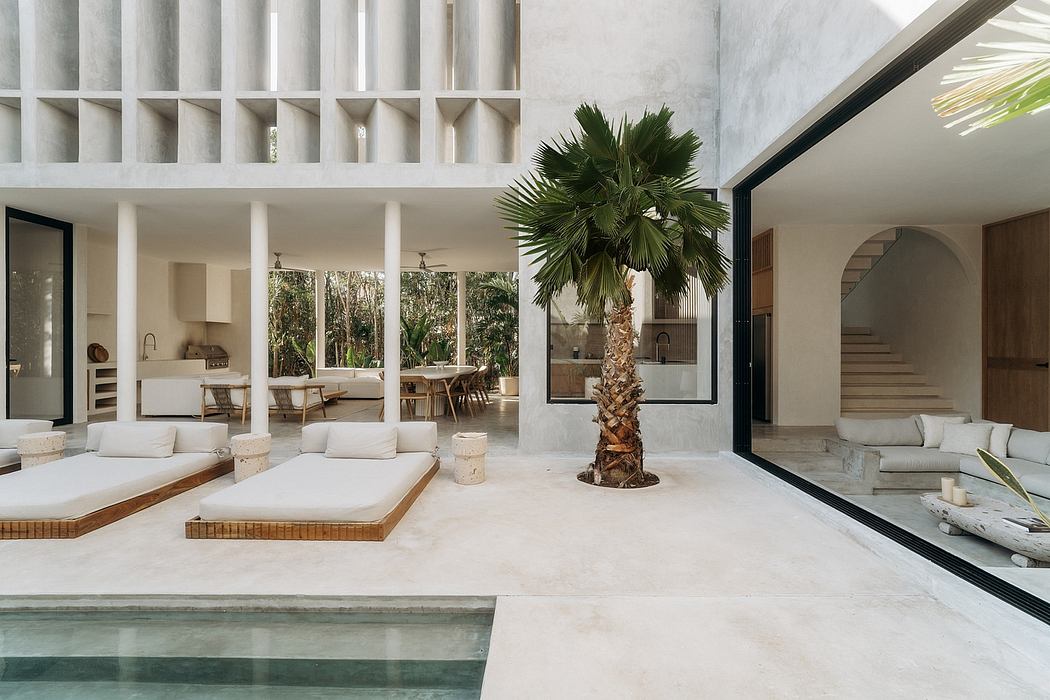 Stunning modern interior with lush palm tree, minimalist furnishings, and expansive windows.