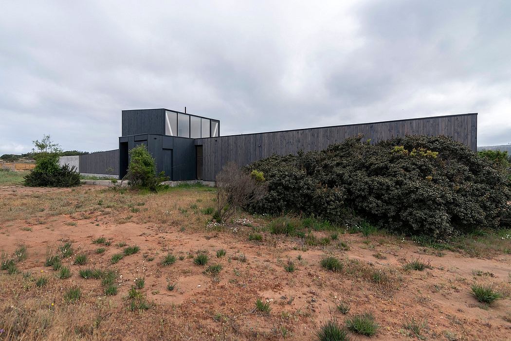 A modern, dark-colored wooden building with geometric shapes and lush vegetation nearby.