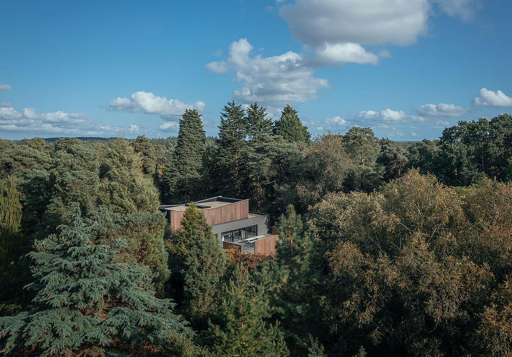 A modern, wooden-clad home nestled among lush, evergreen trees and a dramatic sky.