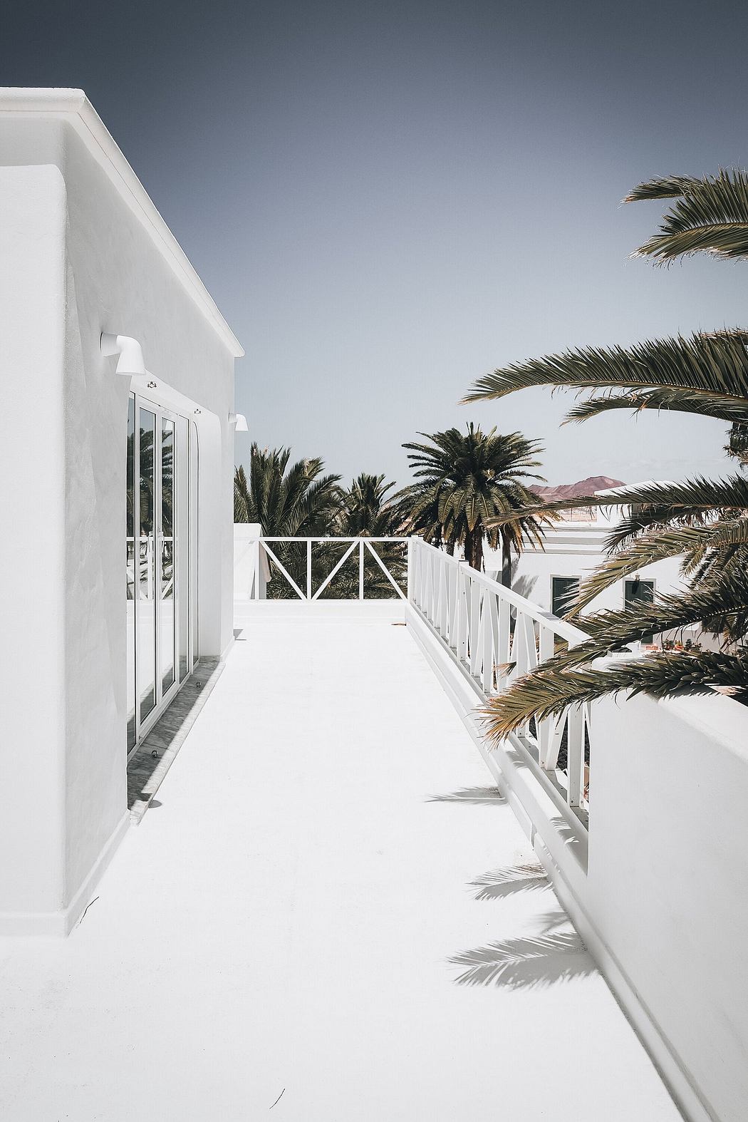 Minimalist white architecture with palm trees and a balcony overlooking a scenic view.