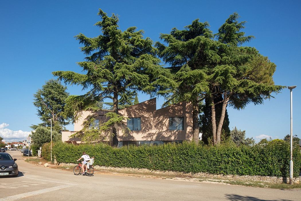 Tall, lush evergreen trees frame a modern, brown-colored building with large windows.