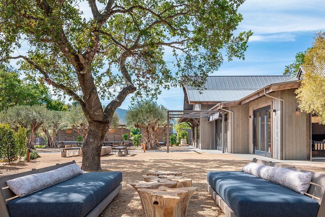 Rustic wooden building with covered patio, large tree, and outdoor furnishings.