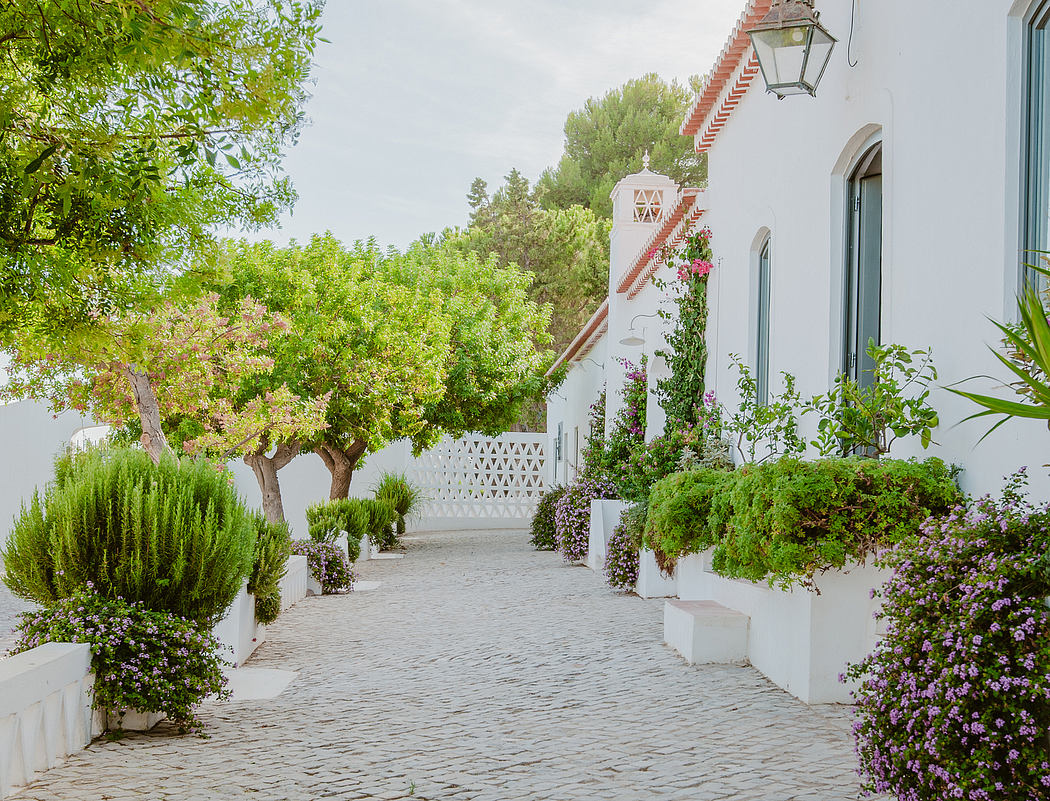Charming Mediterranean architectural details, white walls, cobblestone path, lush greenery.