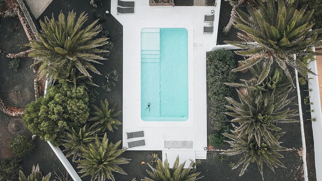 Aerial view of a sleek, modern pool surrounded by lush palm trees and greenery.