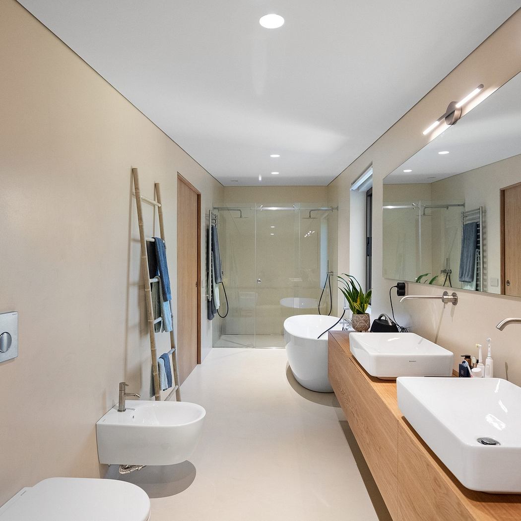 A modern, minimalist bathroom with a sleek vanity, glass shower, and ladder-style towel rack.