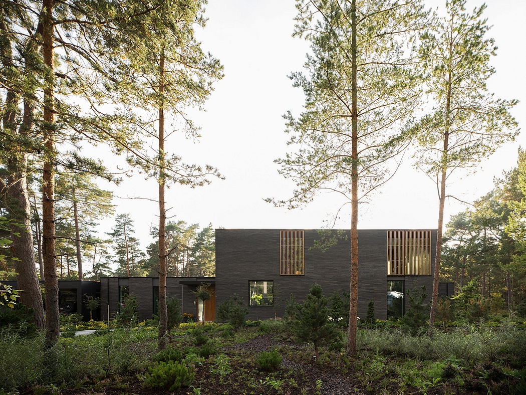 A modern, black wooden house nestled among pine trees, with large windows and vertical slat accents.