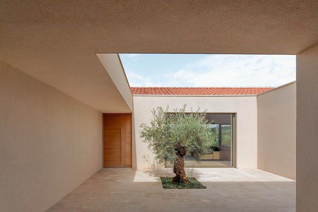 A modern, minimalist building with a central courtyard featuring a mature olive tree.