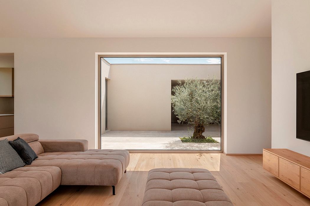 Expansive glass frame reveals a tranquil olive tree courtyard, seamlessly integrating indoor and outdoor spaces.
