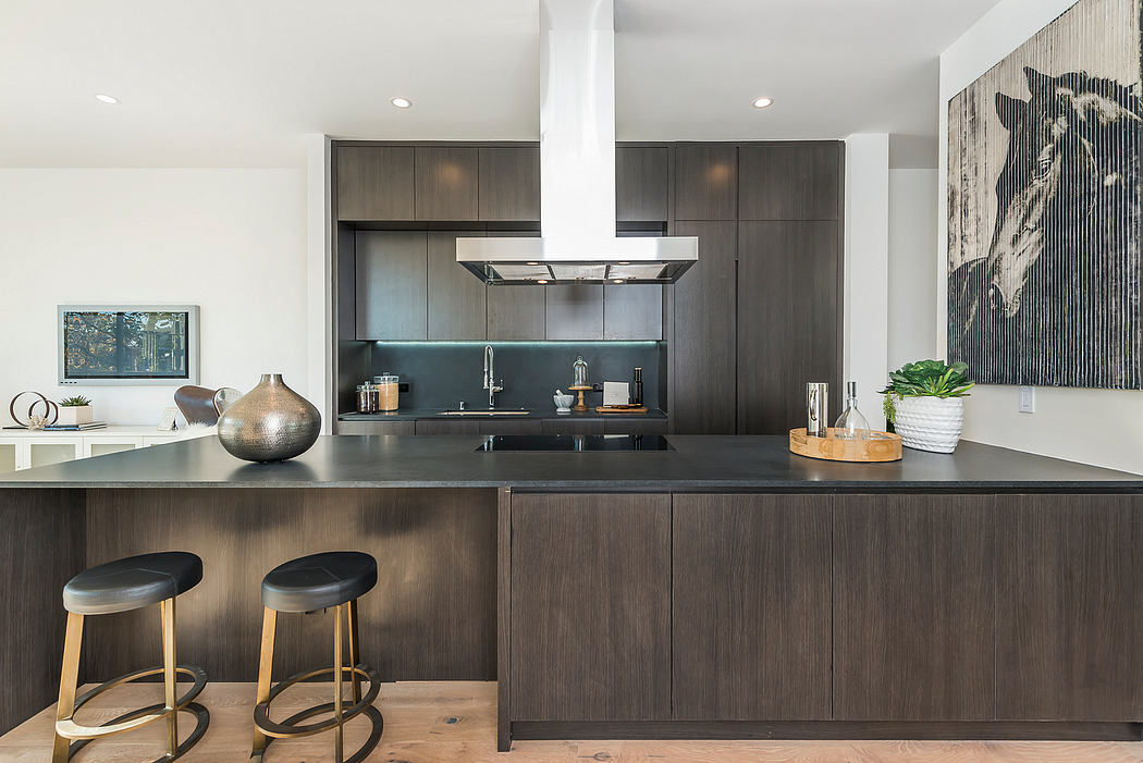 Modern kitchen with sleek dark cabinets, stainless steel appliances, and wood floors.