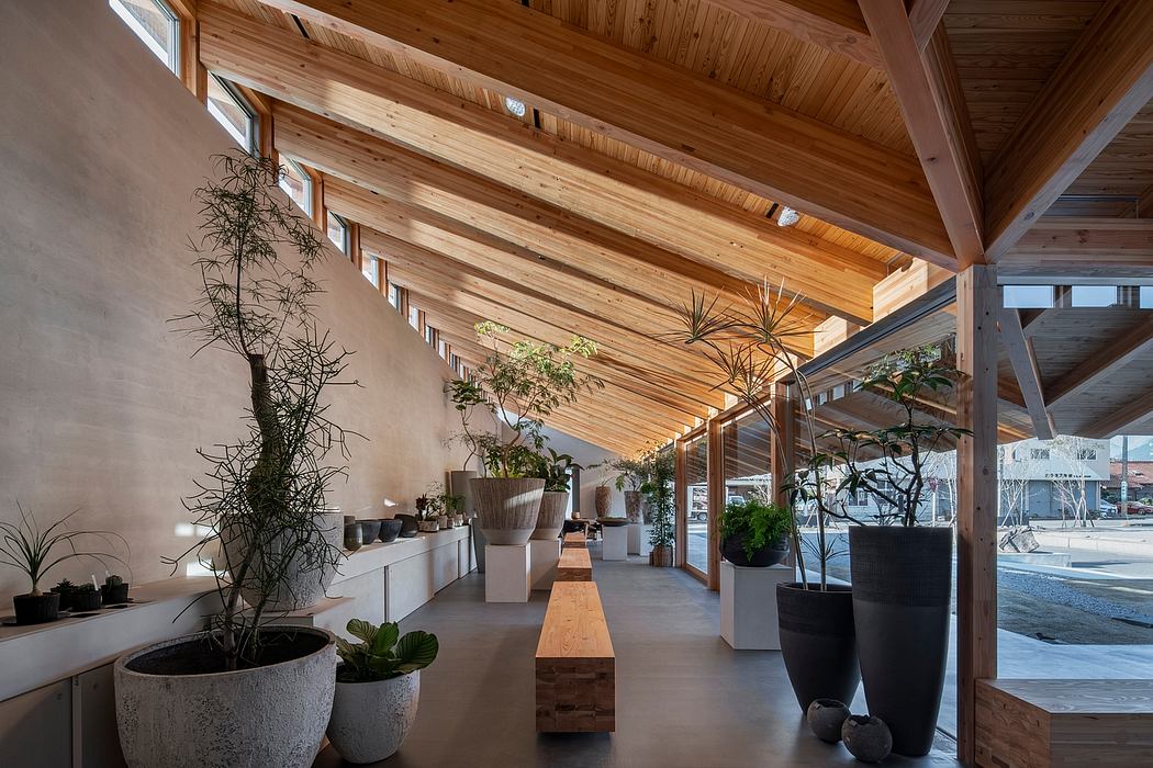 Spacious wooden-beamed ceiling, potted plants, and rustic bench in modern interior.