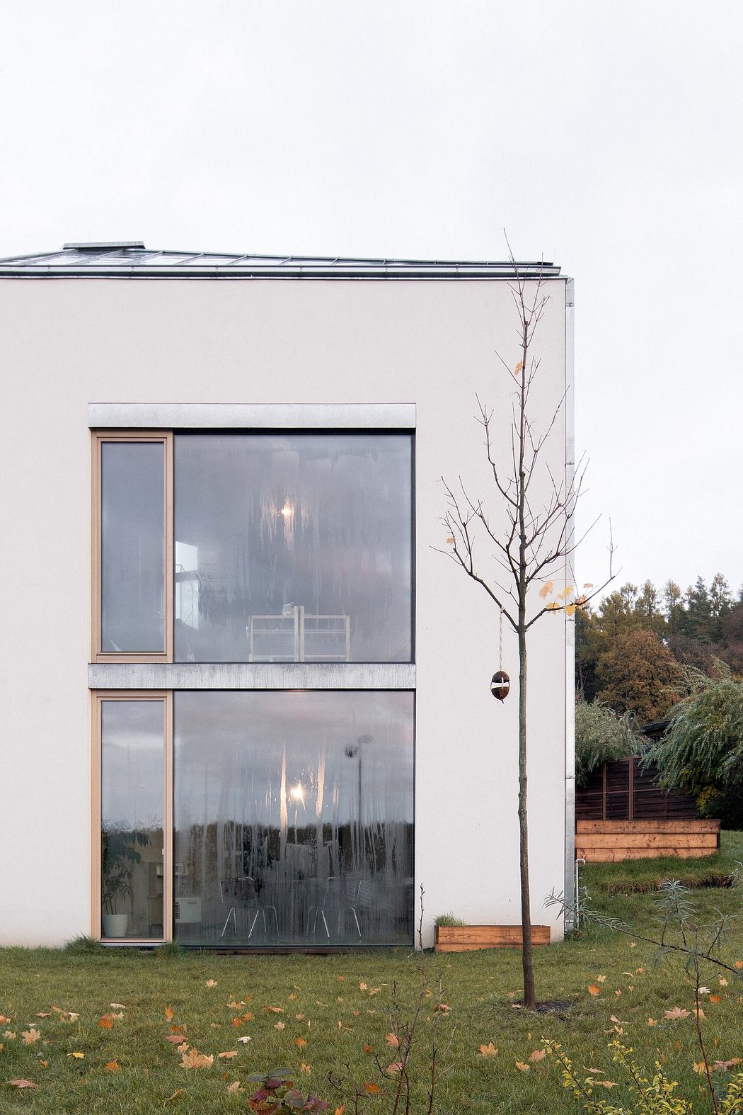 Modern glass and concrete building with naked tree and autumn leaves on the lawn.