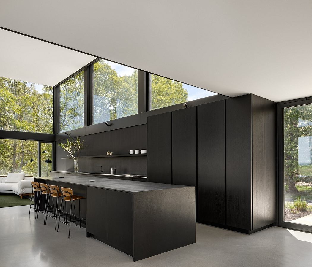 Sleek, modern kitchen with black cabinetry, large windows offering nature views.