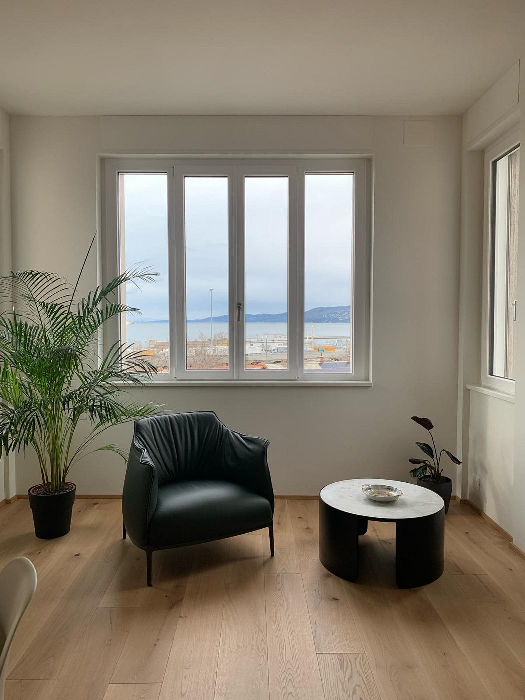 Spacious room with large windows, minimalist black furniture, and indoor plants.