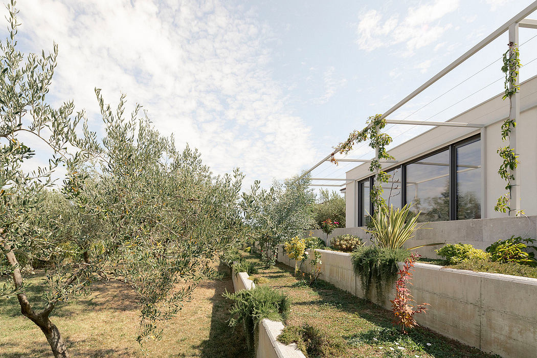A modern glass-paneled building surrounded by lush greenery and an olive tree garden.