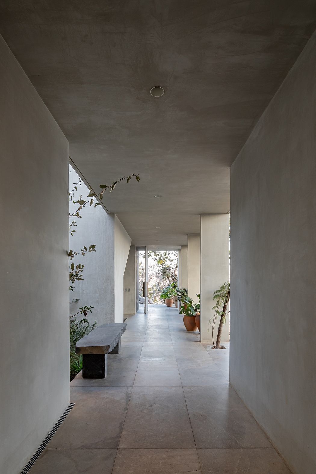 A minimalist, concrete hallway with a long stone bench, lush plants, and natural lighting.