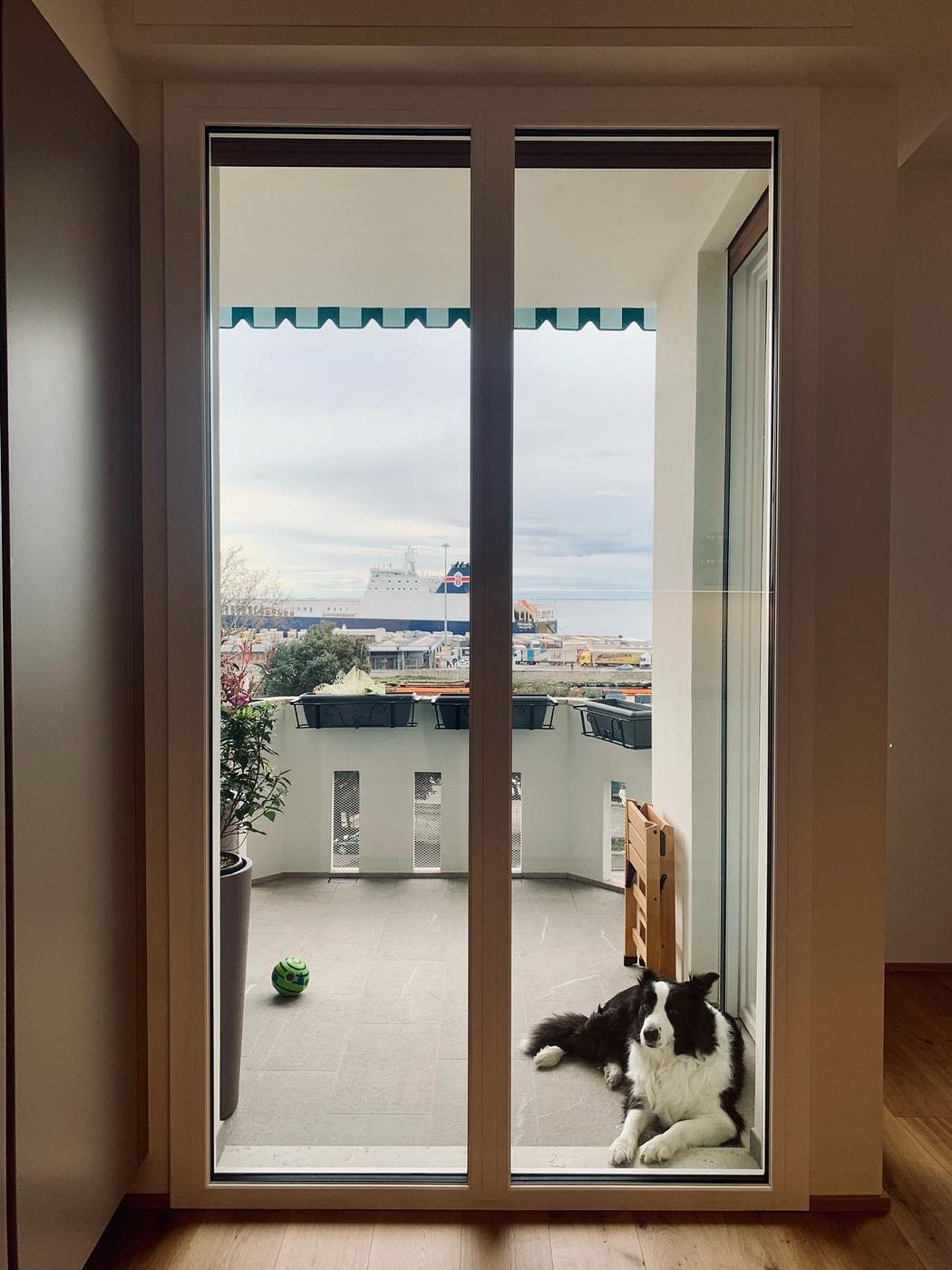 Large sliding glass doors with patterned trim overlook a scenic coastal view and a pet dog.