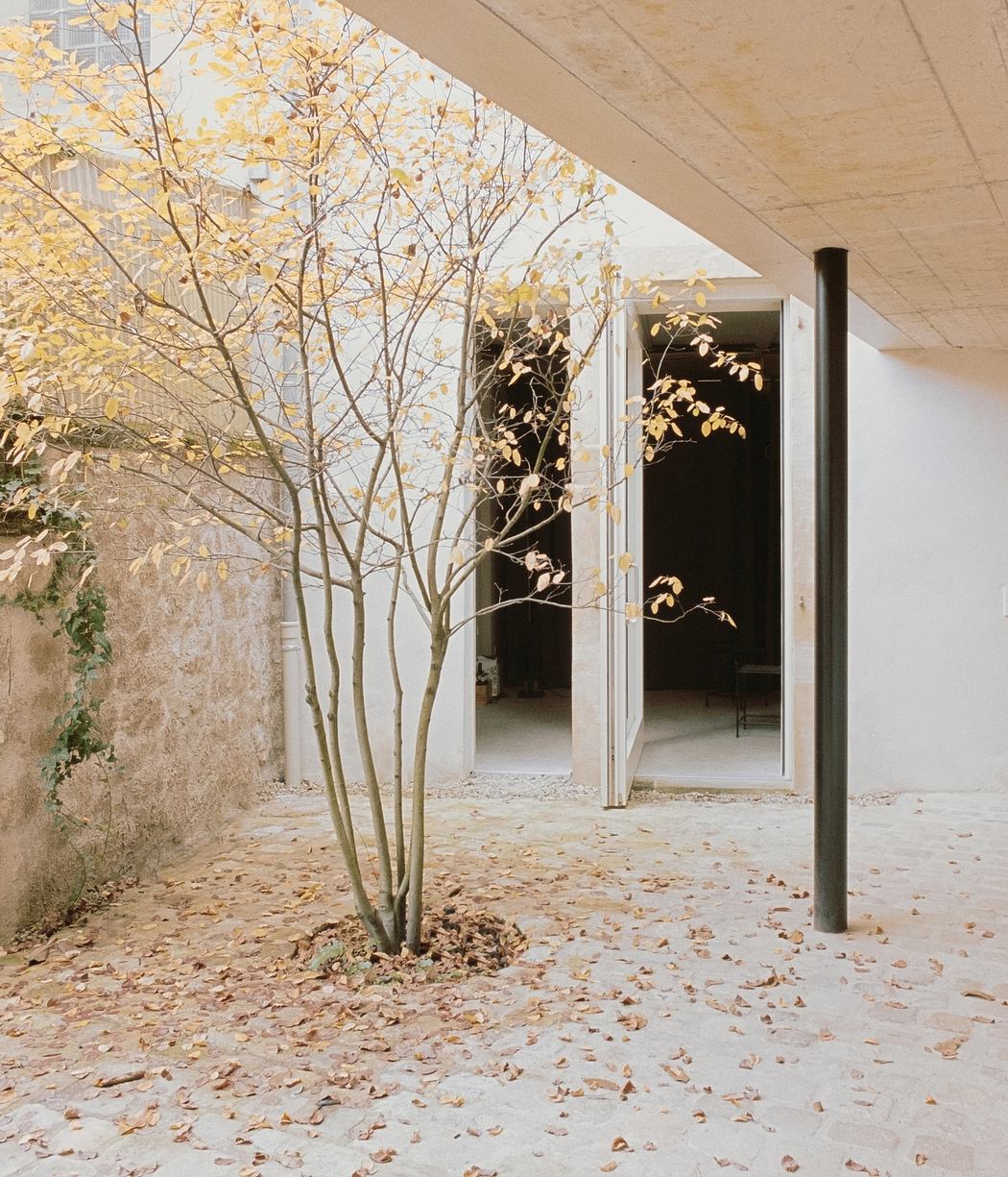 A modern interior space with a glass wall showcasing a bare tree and fallen leaves.
