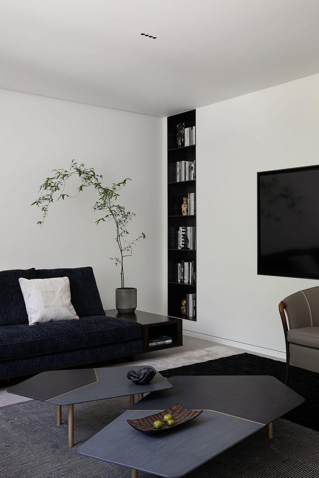 Sleek, minimalist living room with black furniture, built-in shelving, and potted plant.