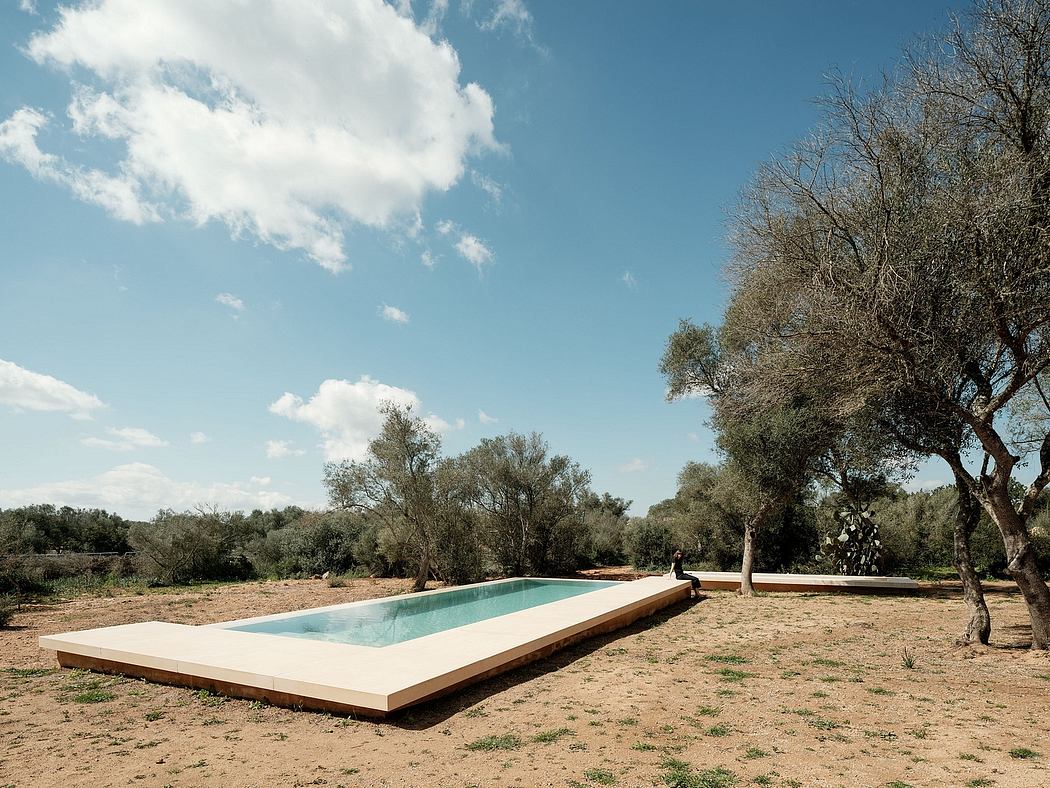 An inviting outdoor pool nestled among olive trees, with a minimalist wooden deck.