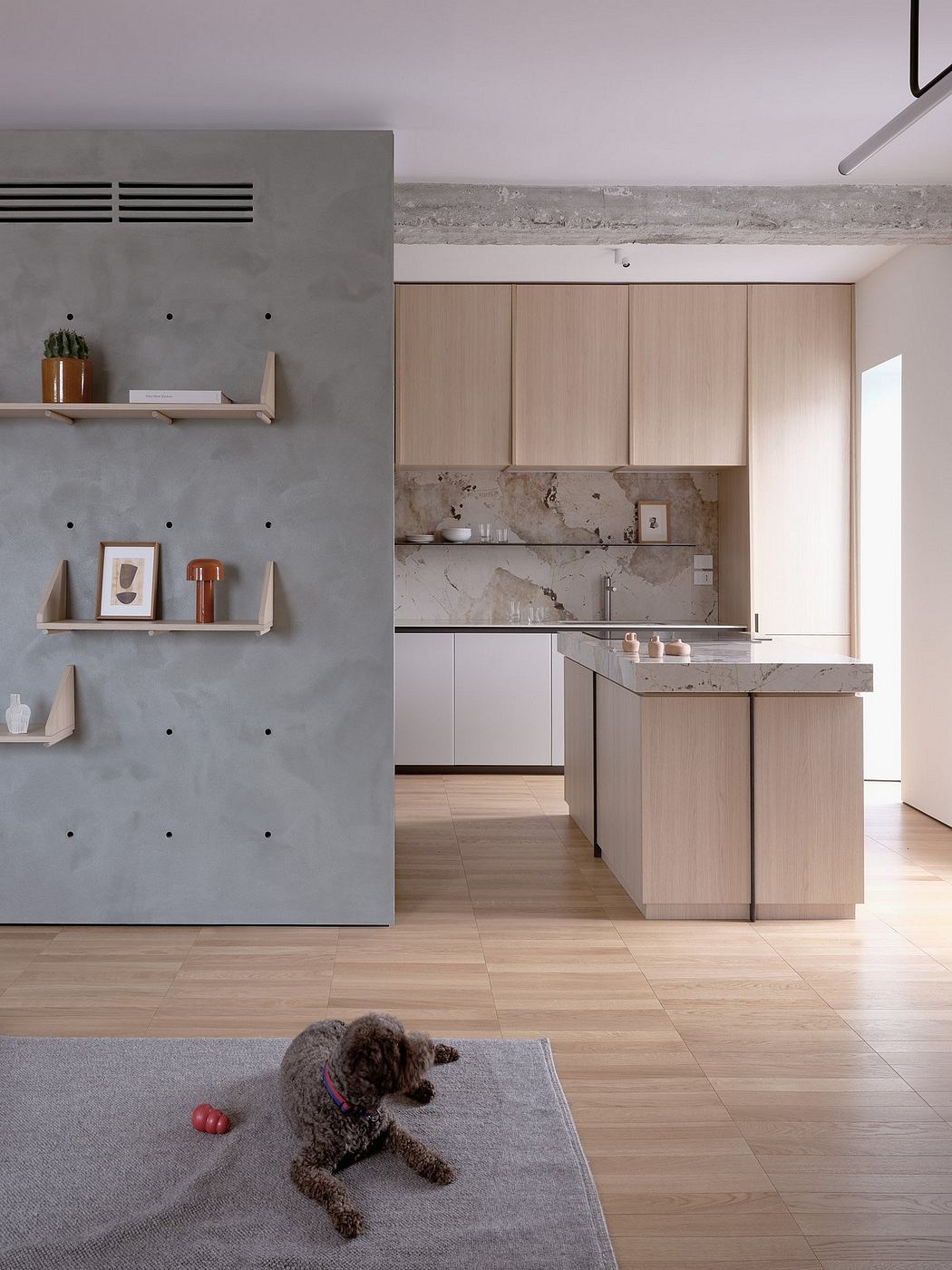 Sleek, modern kitchen with minimalist gray walls, wood cabinetry, and marble countertops; cozy dog napping on rug.