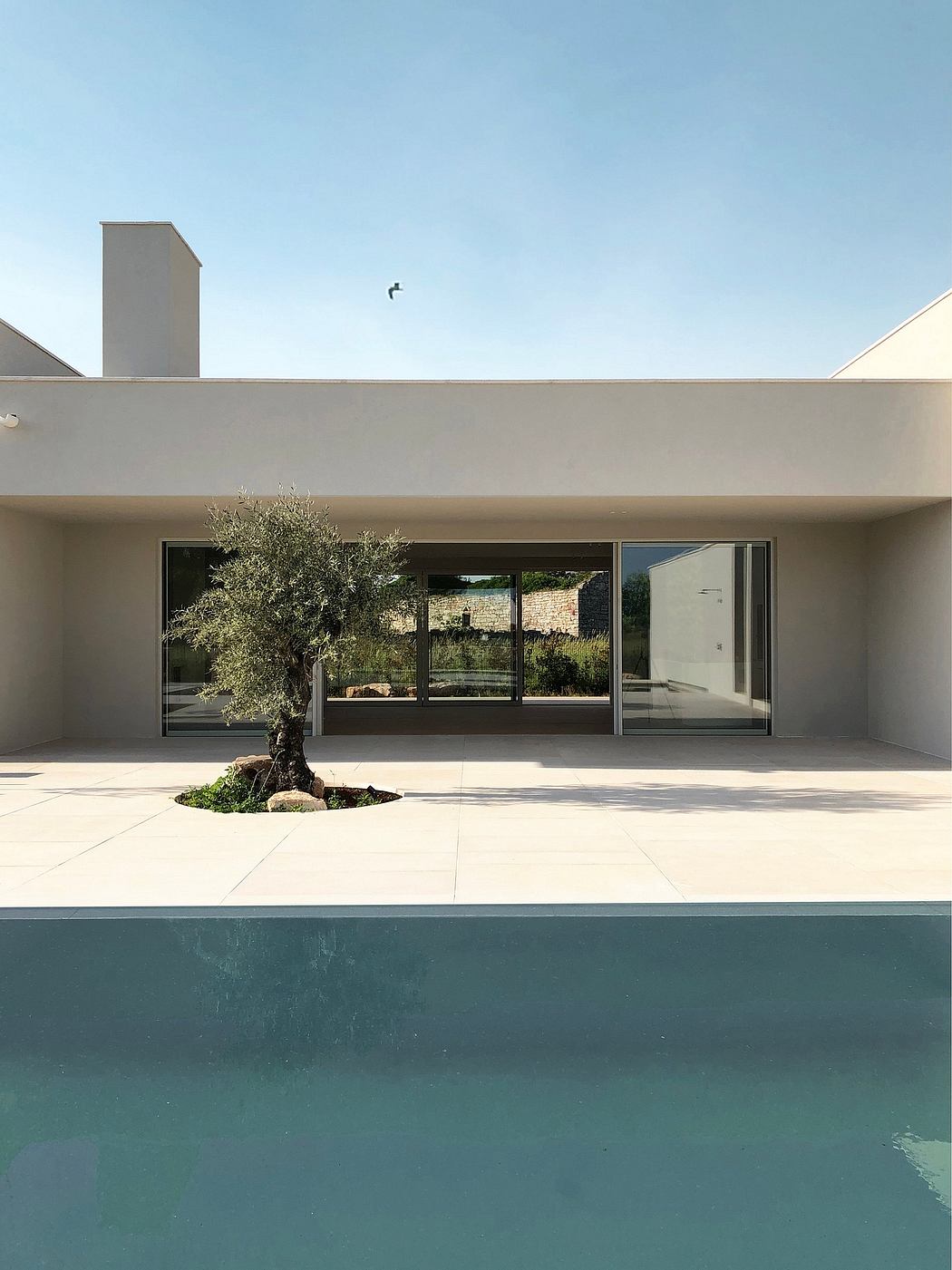 Minimalist modern home design with large windows, olive tree, and swimming pool.