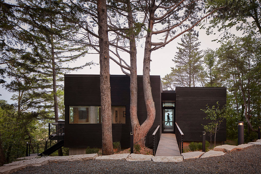A modern, wooden cabin nestled among tall pine trees, with a walkway leading to the entrance.