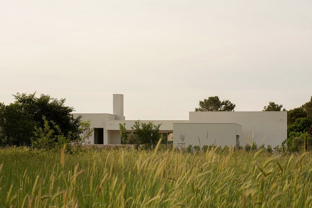 A modern, minimalist single-story house surrounded by a tall grass field and trees.