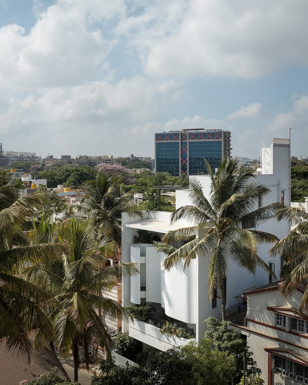 Modern high-rise buildings with intricate architectural patterns amidst lush palm trees.