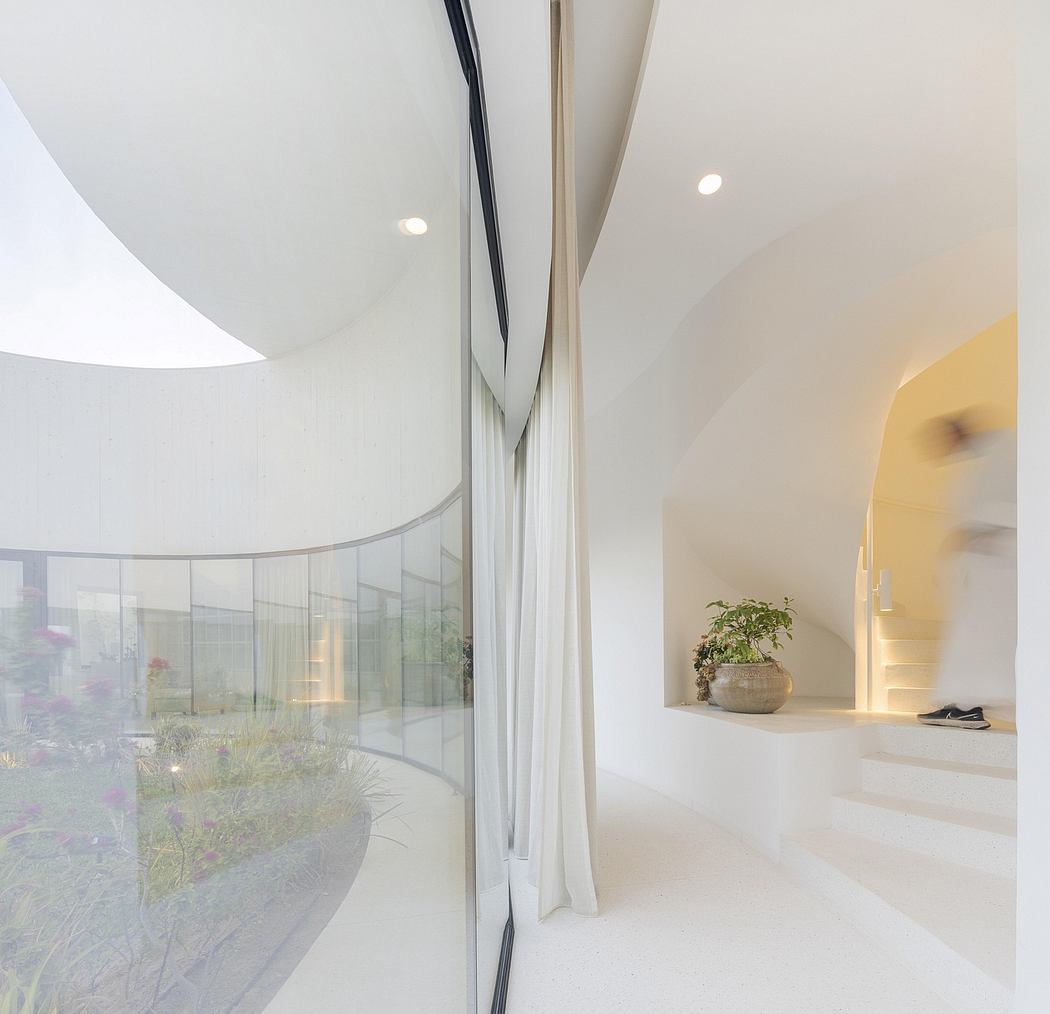 Curved glass walls and minimalist interior design with a potted plant, stairs, and shoes.