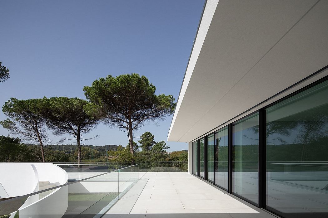 Modern minimalist exterior with glass walls, concrete patio, and pine trees.